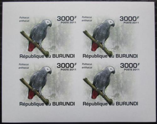 Poštovní známky Burundi 2011 Papoušek šedý neperf. Mi# 1977 B Bogen
