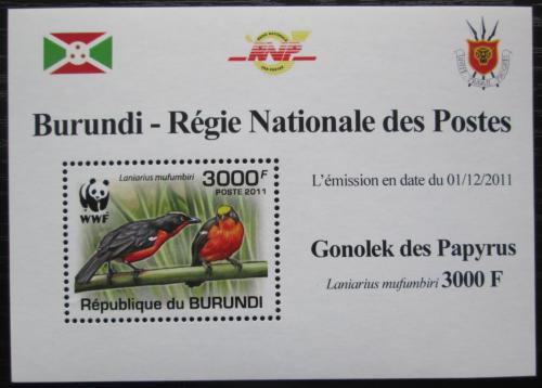 Poštovní známka Burundi 2011 �uhýkovec papyrusový, WWF DELUXE Mi# 2129 b Block