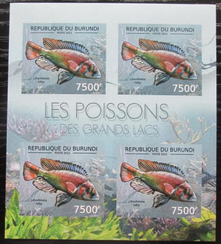 Poštovní známky Burundi 2012 Lithochromis rufus neperf. Mi# 2782 B Bogen