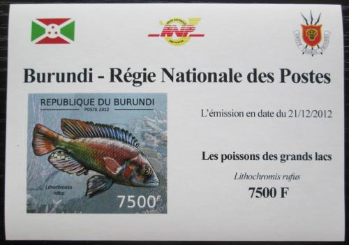 Poštovní známka Burundi 2012 Lithochromis rufus DELUXE Mi# 2782 B Block