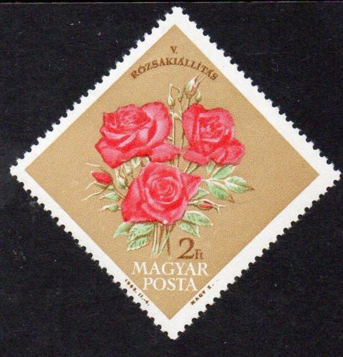 Poštovní známka Maïarsko 1963 Výstava rùží Mi# 1922