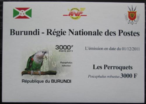 Poštovní známka Burundi 2011 Papoušek kapský neperf. DELUXE Mi# 1976 B Block