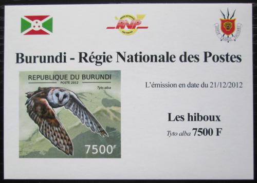 Poštovní známka Burundi 2012 Sova pálená neperf. DELUXE Mi# 2812 B Block 