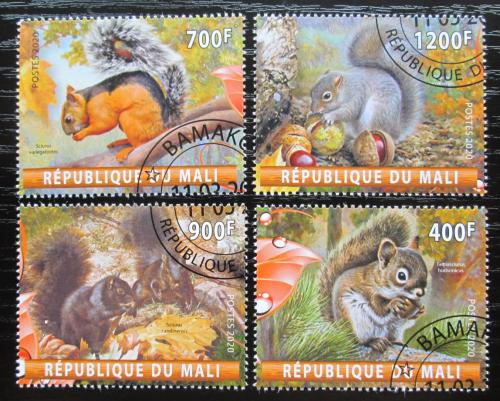Poštovní známky Mali 2020 Veverky Mi# N/N