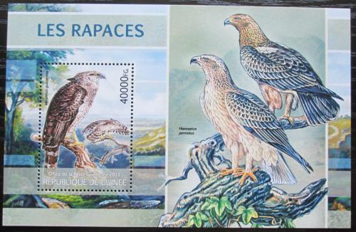 Poštovní známka Guinea 2013 Dravci Mi# Block 2208 Kat 16€