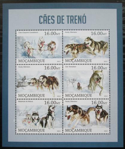 Poštovní známky Mosambik 2013 Psí spøežení Mi# Mi# 6441-46 Kat 10€