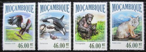 Poštovní známky Mosambik 2013 Masožravci Mi# 6972-75 Kat 11€