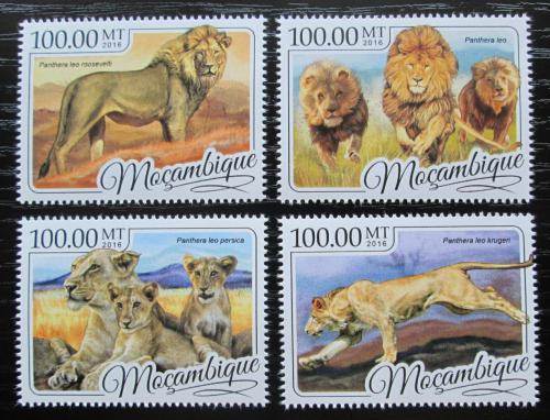 Poštovní známky Mosambik 2016 Lvi Mi# 8769-72 Kat 22€