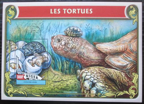 Poštovní známka Niger 2016 Želvy Mi# Block 551 Kat 12€ 