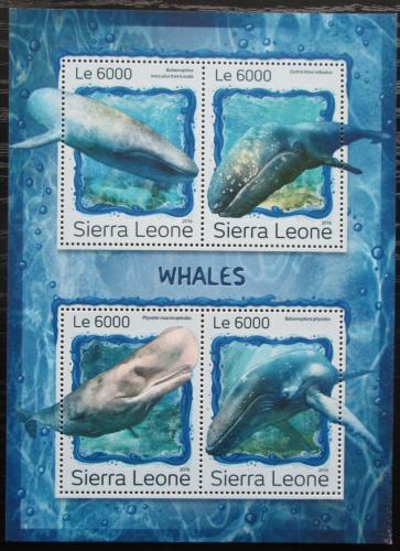 Poštovní známky Sierra Leone 2016 Velryby Mi# 7988-91 Kat 11€