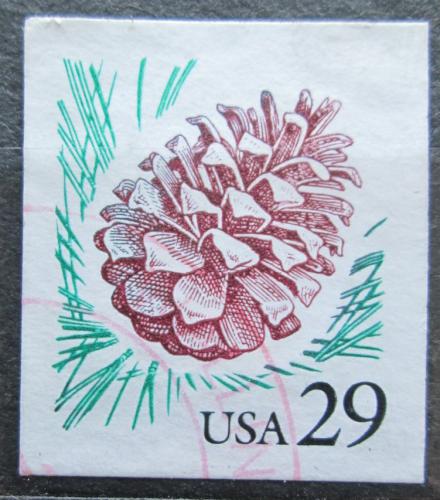 Potovn znmka USA 1993 ika borovice Mi# 2424