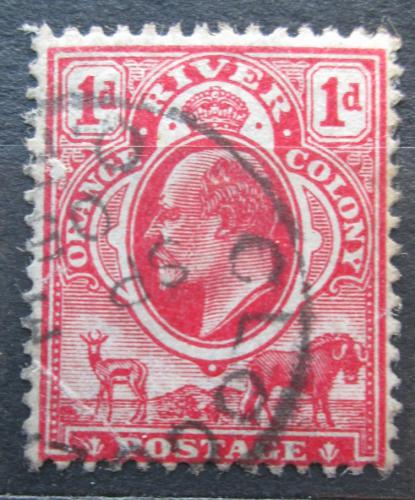 Poštovní známka Oranžský stát 1905 Král Edward VII. Mi# 49
