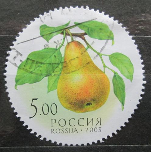 Poštovní známka Rusko 2003 Hruška Mi# 1114