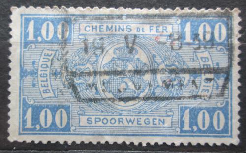 Poštovní známka Belgie 1928 Státní znak, balíková Mi# 160