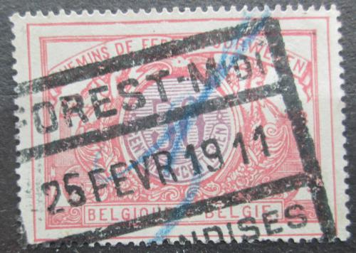Poštovní známka Belgie 1902 Nominál, balíková Mi# 34