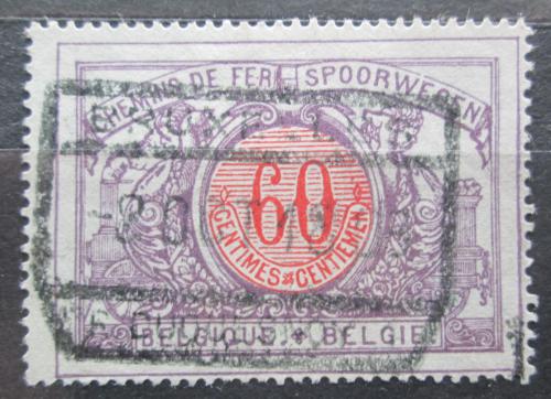 Poštovní známka Belgie 1902 Nominál, balíková Mi# 35