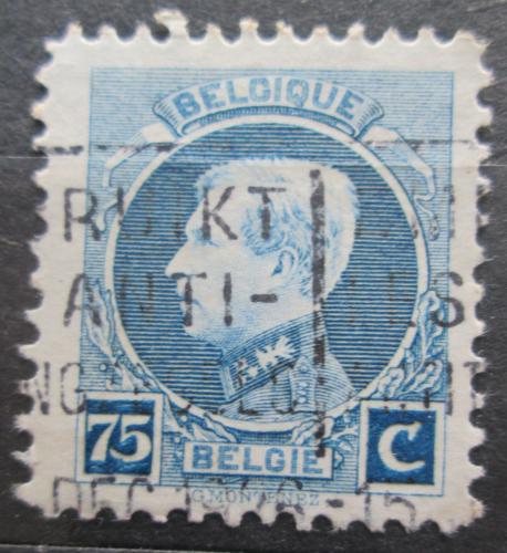 Poštovní známka Belgie 1924 Král Albert I. Mi# 189