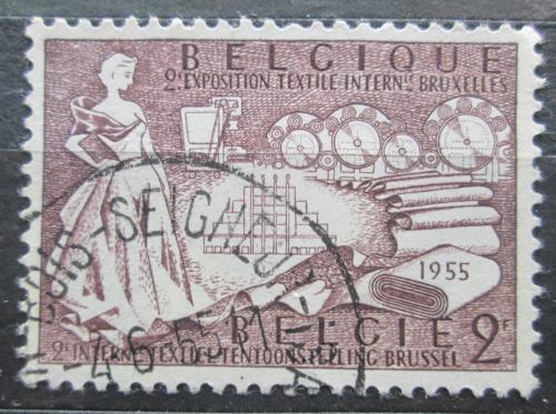 Poštovní známka Belgie 1955 Mezinárodní výstava textilu Mi# 1017