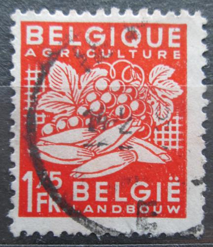 Poštovní známka Belgie 1948 Ovoce a zelenina Mi# 806
