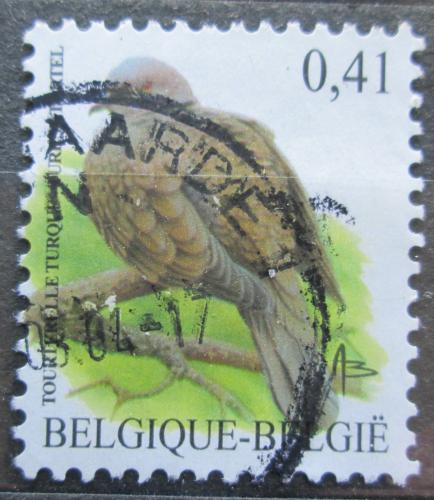 Poštovní známka Belgie 2002 Hrdlièka zahradní Mi# 3185