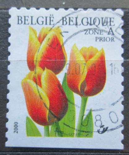 Poštovní známka Belgie 2000 Tulipány Mi# 2958 Du