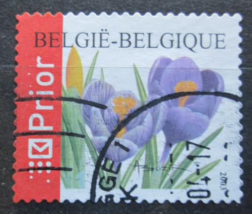 Poštovní známka Belgie 2003 Šafrán jarní Mi# 3276