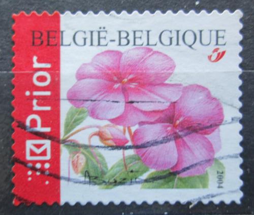 Poštovní známka Belgie 2004 Impatiens chinensis Mi# 3367 A