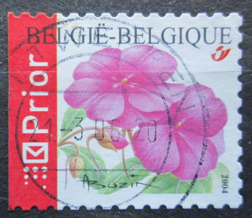 Poštovní známka Belgie 2004 Impatiens chinensis Mi# 3367 D