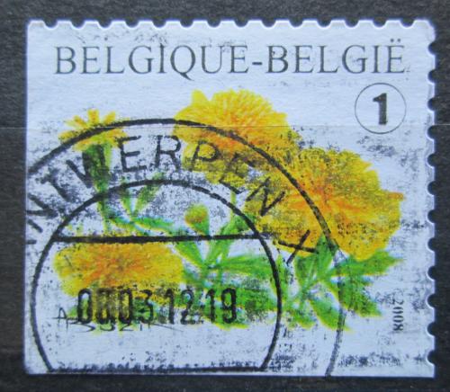Potovn znmka Belgie 2008 Aksamitnk rozkladit Mi# 3832 Dl 