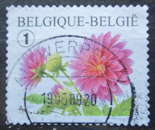 Poštovní známka Belgie 2007 Jiøiny Mi# 3732 A