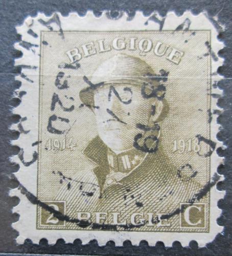 Poštovní známka Belgie 1919 Král Albert I. Mi# 146