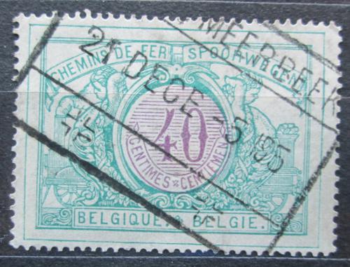 Poštovní známka Belgie 1902 Nominál, balíková Mi# 33