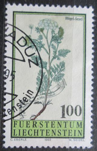 Poštovní známka Lichtenštejnsko 1993 Sesel roèní Mi# 1071