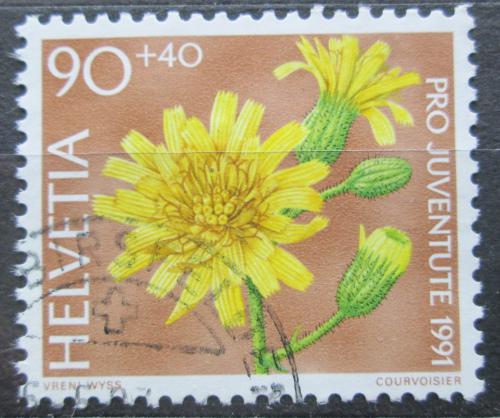 Poštovní známka Švýcarsko 1991 Jestøábník zední Mi# 1458
