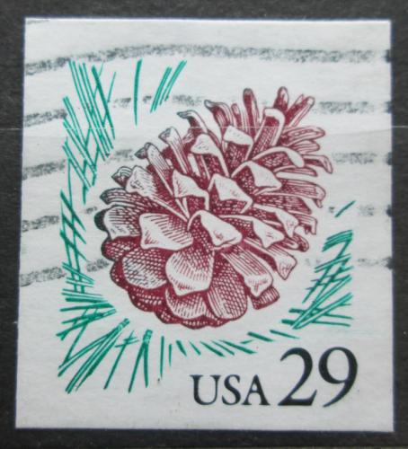 Poštovní známka USA 1993 Šiška borovice Mi# 2424