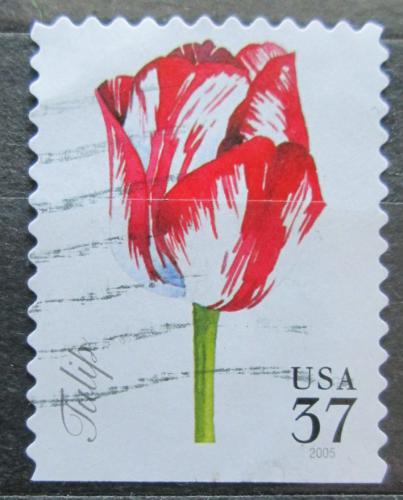 Potovn znmka USA 2005 Tulipn Mi# 3919 BD