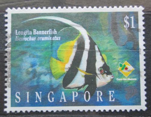 Poštovní známka Singapur 1995 Klipka hrotcová Mi# 774