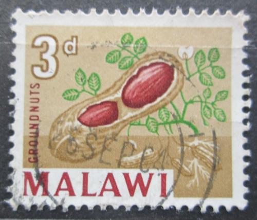 Poštovní známka Malawi 1964 Podzemnice olejná Mi# 4