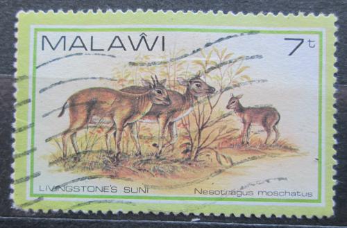 Potovn znmka Malawi 1981 Antilopka pimov Mi# 356 - zvtit obrzek