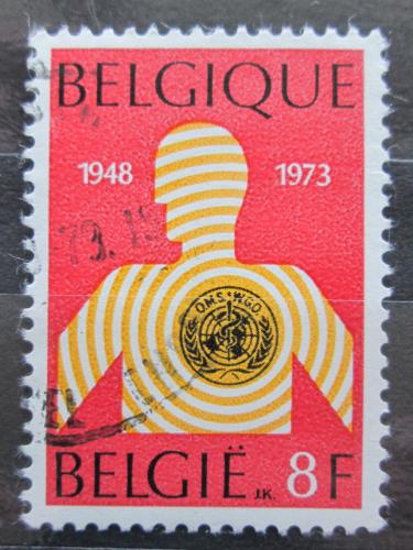 Poštovní známka Belgie 1973 WHO, 20. výroèí Mi# 1720