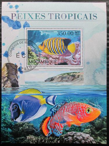 Potovn znmka Mosambik 2016 Tropick ryby Mi# Block 1220 Kat 20