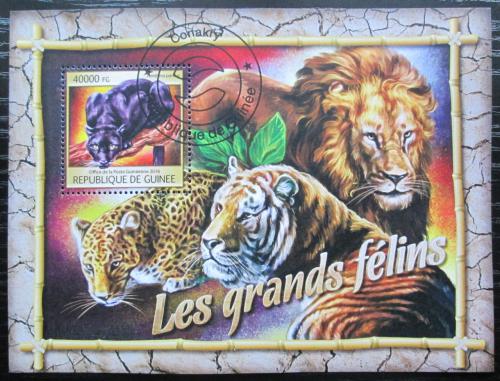 Poštovní známka Guinea 2016 Koèkovité šelmy Mi# Block 2673 Kat 16€