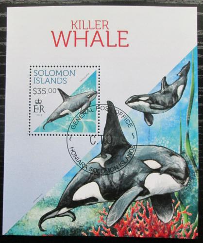 Poštovní známka Šalamounovy ostrovy 2013 Kosatka dravá Mi# Block 216 Kat 12€