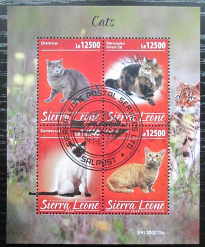 Poštovní známky Sierra Leone 2020 Koèky Mi# N/N