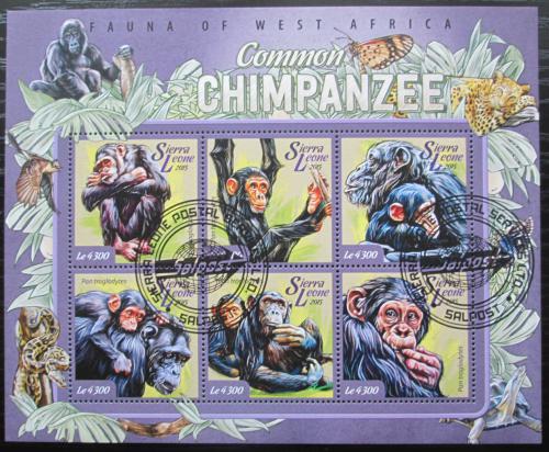 Poštovní známky Sierra Leone 2015 Šimpanzi Mi# 6090-95 Kat 11.50€