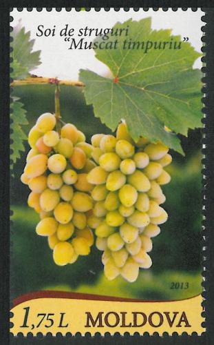 Poštovní známka Moldavsko 2013 Vinná réva Mi# 849