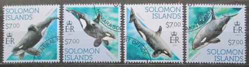 Poštovní známky Šalamounovy ostrovy 2013 Kosatka dravá Mi# 2172-75 Kat 9.50€