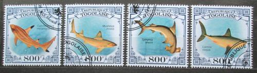 Poštovní známky Togo 2021 Žraloci Mi# N/N