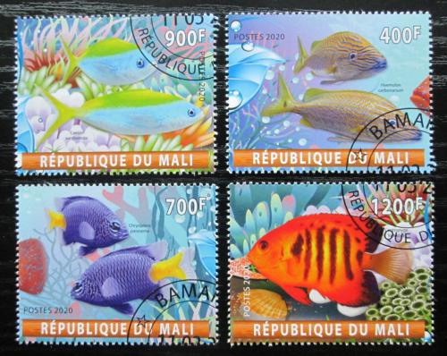 Poštovní známky Mali 2020 Ryby Mi# N/N