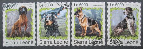 Poštovní známky Sierra Leone 2016 Psi Mi# 7998-8001 Kat 11€